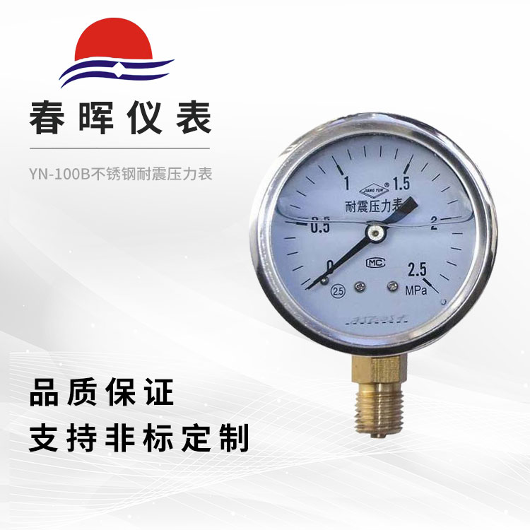 YN-100BP