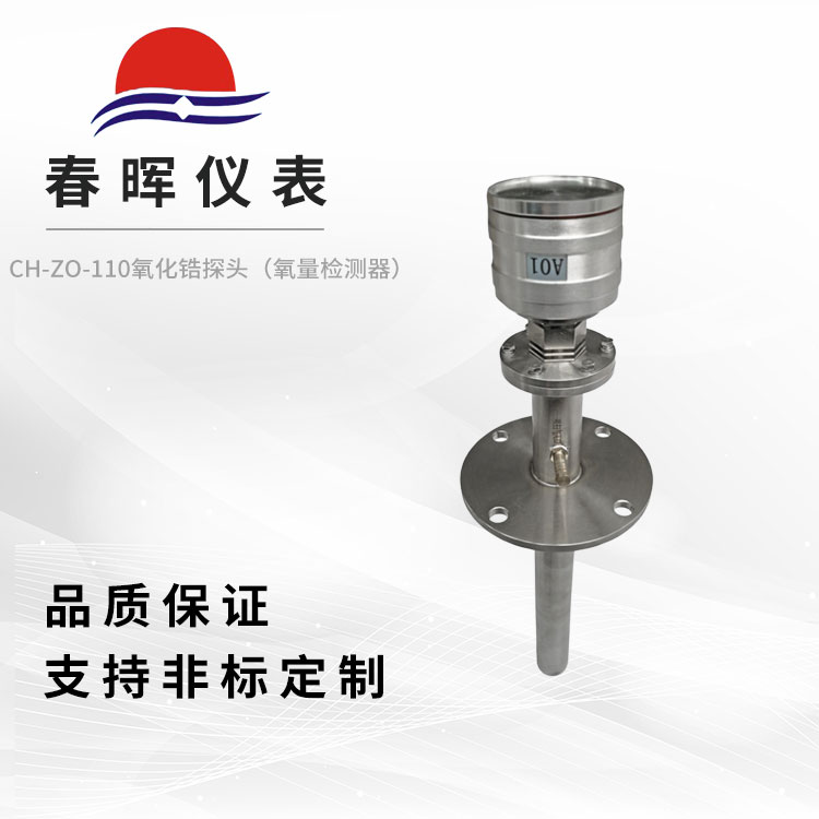 CH-ZO-110̽^zy